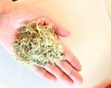 超簡単‼とろろ昆布のお吸い物♪作り方1写真