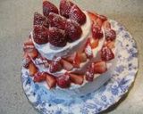 しっとりふんわり☆スポンジケーキ作り方13写真