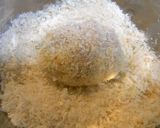 さっぱり揚げ♪梅巻き✿ささみかつ✿作り方6写真