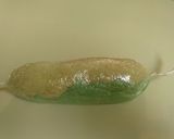 裏技で片付け簡単絞り出しクッキー作り方23写真
