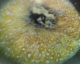 いかげそＤＥこんにゃく甘辛煮☆作り方4写真