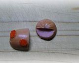 簡単キャラ弁おかず：ころころ天道虫作り方4写真