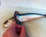 ふわふわ♪鰯のつみれ汁〜醤油仕立て〜作り方6写真