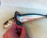 ふわふわ♪鰯のつみれ汁〜醤油仕立て〜作り方6写真