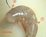 鶏肉の煮込み・マレンゴ風～パスタ添え作り方3写真