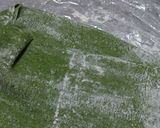 ほうれん草入パスタ生地作り方5写真