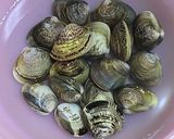 シンプルで美味しい♪はまぐりのお吸い物作り方1写真