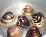 はまぐりの冷凍保存作り方1写真