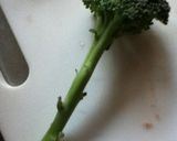 ブロッコリーの豚肉巻き作り方1写真