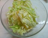 俺出来！シャカシャカチキンdeサラダ作り方8写真