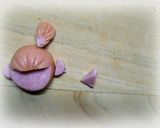 リトルミィとスナフキン簡単キャラ弁おかず作り方10写真