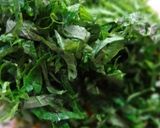 旬♪♫♪釜あげ桜エビのパスタ作り方3写真