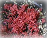じゃが芋の合い挽き炒め作り方6写真