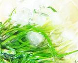 ひともじのグルグル作り方3写真