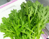 ほうれん草や春菊に！青菜の保存法☆作り方6写真
