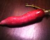 レディ大根の甘酢漬け作り方1写真