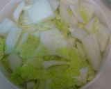 即食べられる！白菜の甘酢浅漬け作り方1写真