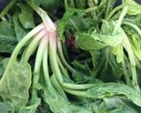 ペーストほうれん草のパスタ作り方1写真