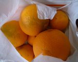夏みかんのオレンジピール作り方1写真