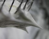 ぶ厚いホットケーキ作り方22写真