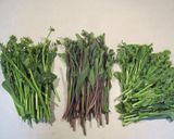 アサリと菜花のワイン蒸し作り方1写真