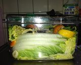 皆で奪い合い!! 簡単! 白菜の漬物作り方5写真