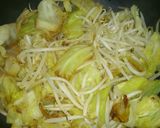 鶏モモとキャベツの塩麹炒め作り方3写真