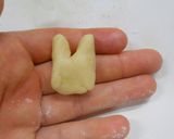 トトロとまっくろくろすけのクッキー作り方26写真