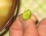 春を味わう♥ふきのとうde香り味噌汁作り方2写真