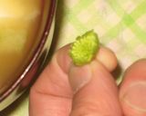 春を味わう♥ふきのとうde香り味噌汁作り方2写真