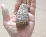 里芋の☆コロッケ春巻き作り方8写真