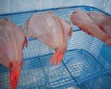 金目鯛の干物作り方1写真