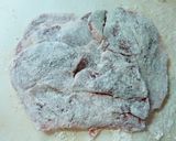 豚肉のソテー簡単レモンソース♪作り方2写真