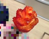 超簡単☆犬用ケーキ☆作り方4写真