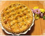 オレンジジュースで簡単♪ アップルパイ作り方12写真
