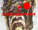 自宅で簡単！蒸し牡蠣（殻付き牡蠣）作り方2写真