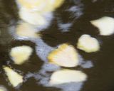 春キャベツと鶏のホイコーロー作り方10写真