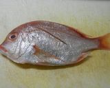 レンコダイの酒蒸し・ネギあんかけ作り方1写真