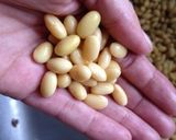 ことこと派★地味な五目豆作り方1写真