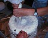 コーヒーソースケーキ作り方5写真