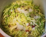 ザワークラウト／塩と香辛料だけ本格レシピ作り方3写真