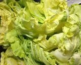 ロールキャベツ、ポトフ風作り方1写真