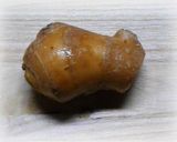 生姜たっぷり♪シンプルな豚の生姜焼き作り方1写真