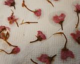 ふんわり春の香り☆桜のロールケーキ作り方3写真