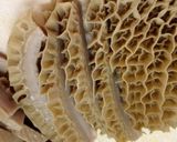 トリッパのトマトソース煮込み作り方4写真