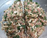 春キャベツとしょうがたっぷり　焼き餃子作り方2写真