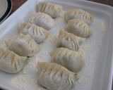 薬味たっぷり餃子作り方3写真
