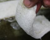 トマトでいただく白身ムニエル作り方12写真