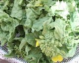 なばなのごま和え作り方1写真