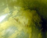 生トマトで作る、本当にうまいチキンカレー作り方3写真